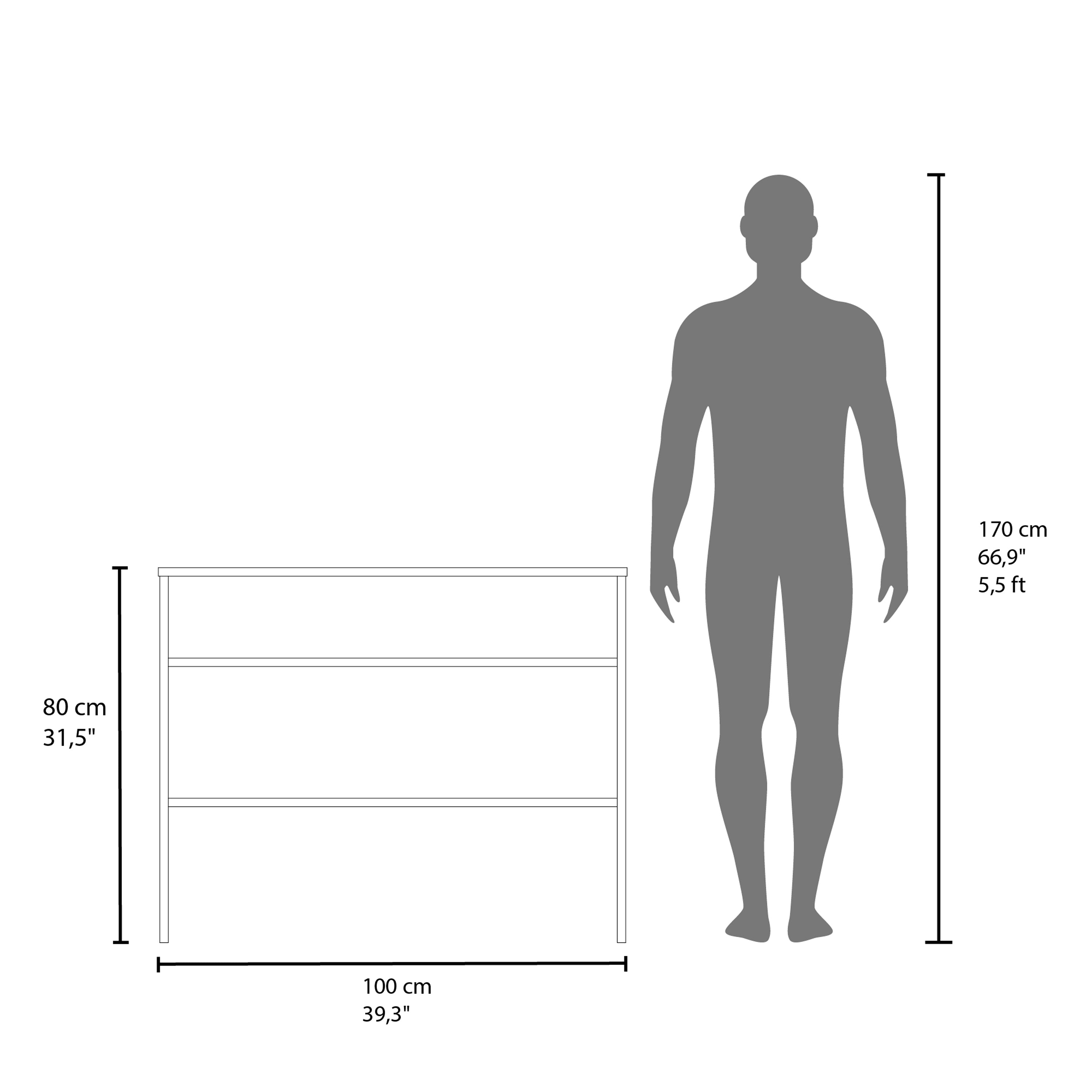 Saxman Library Desk with 2 Shelves and 2 Legs, Black - Luciddepo