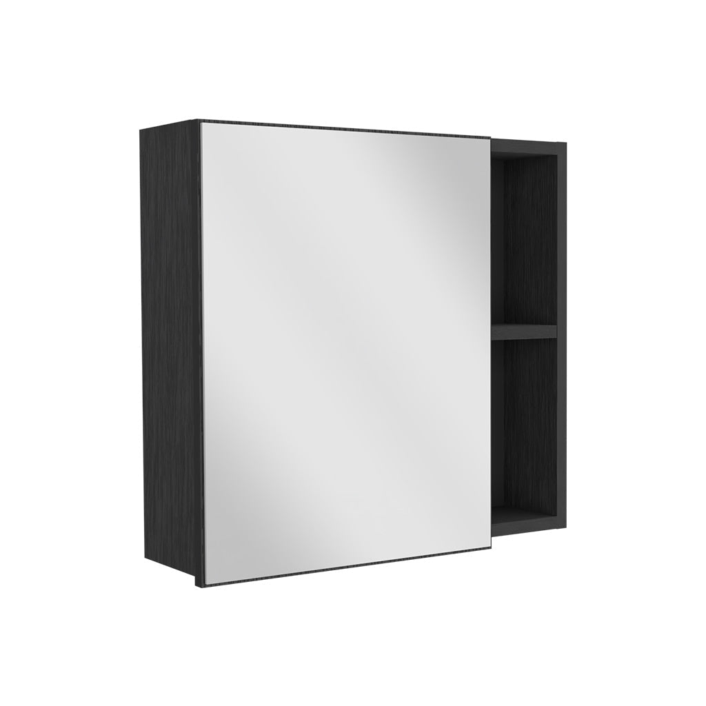 Queets Medicine Single Door Cabinet, Two External Shelves, Three Interior Shelves , Black - Luciddepo