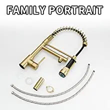 Kitchen, Faucet, Single Handle Faucet, Contemporary, Push Button, Pull-Out Sprayer, two nozzle, Ceramic Valve, Core Sense Faucet, Gold