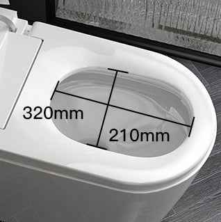 Smart Bidet Toilet US Standard Size Electronic Seat Cover Bidet with Remote Control - Luciddepot