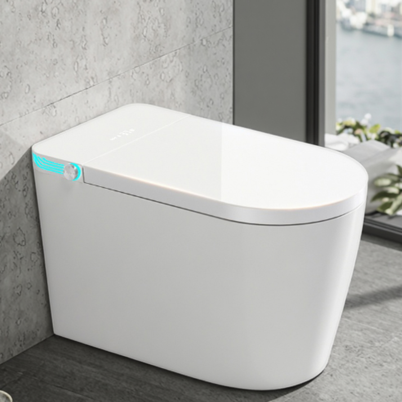 Modern One-Piece Ceramic Bathroom Toilet New Design Elongated Bowl Smart Remote Control Includes S-Type Traps - Luciddepot