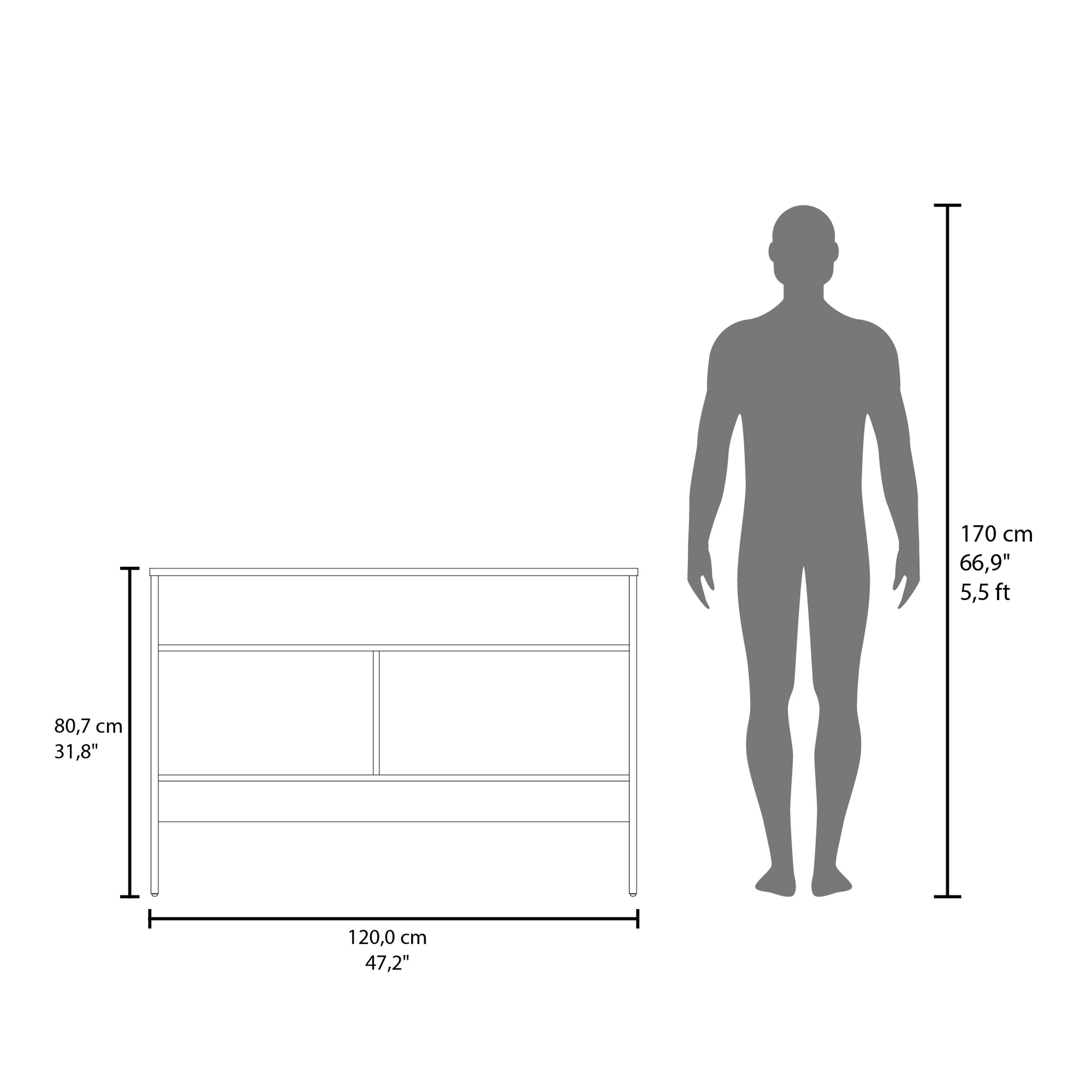 Salcha Console Table with 2 Doors and 3 Shelves, Black - Luciddepo