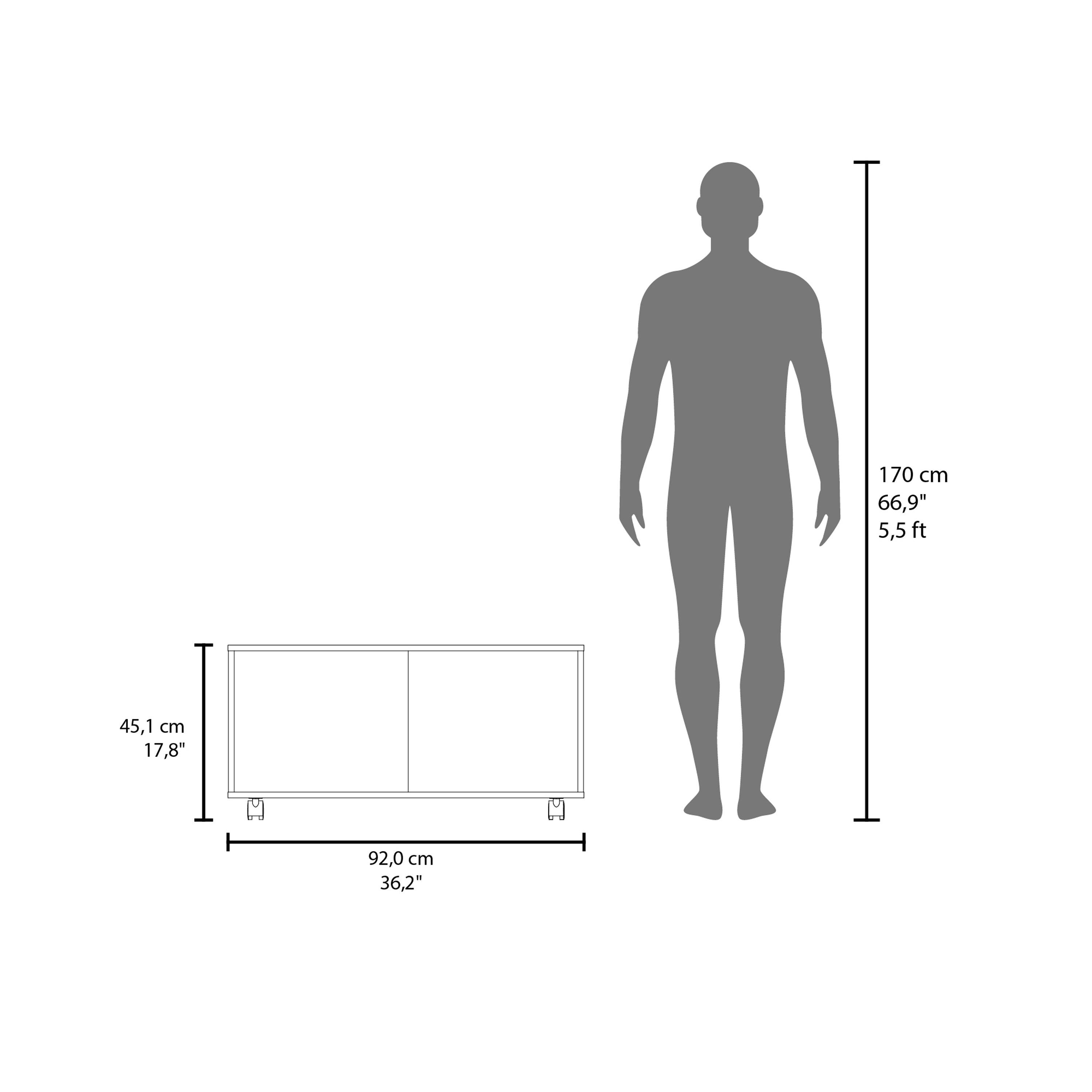 Denton Coffee Table, 4 Wheels, 1 Shelf, Black - Luciddepo