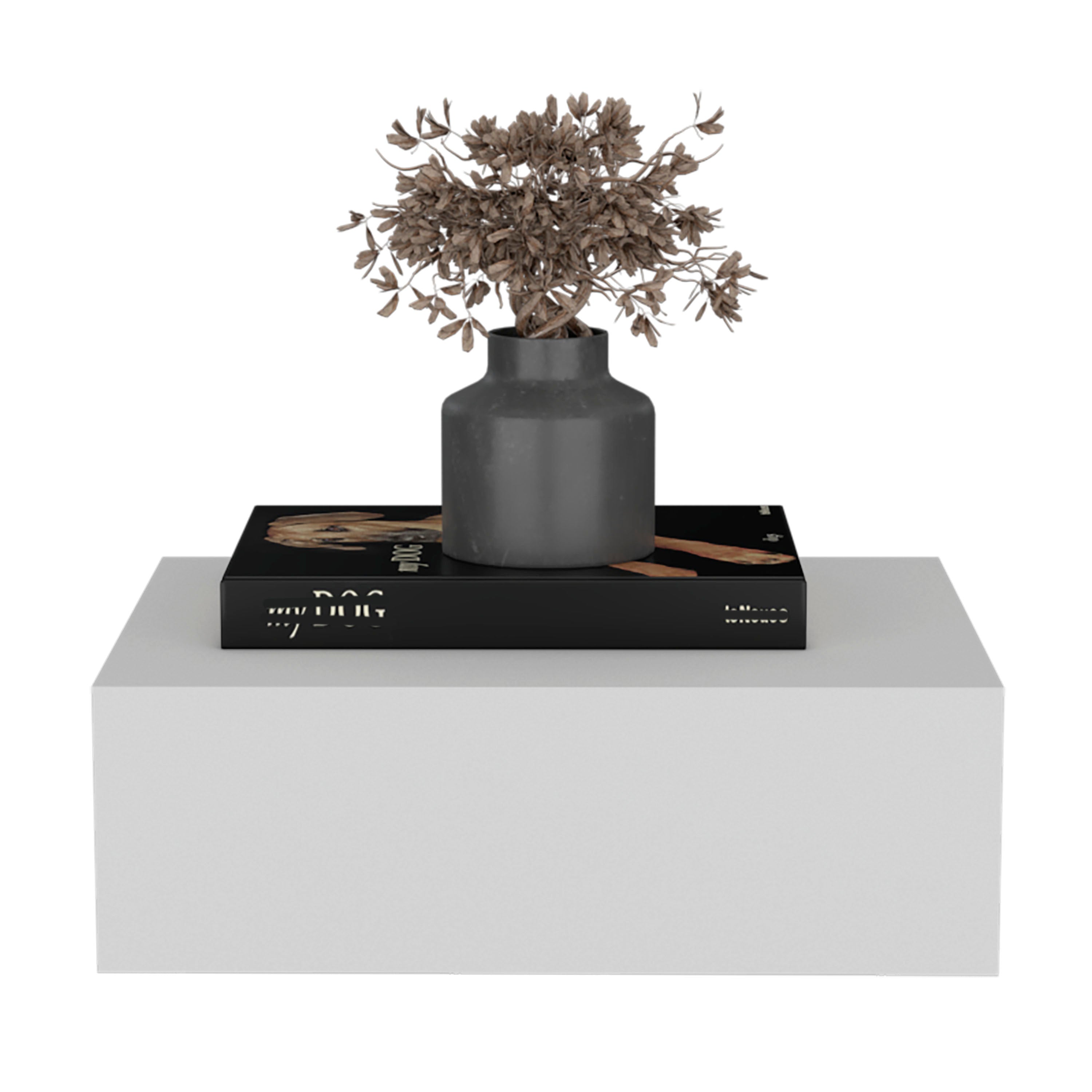 Ivor Floating Nightstand, Modern Wall-Mounted Bedside Shelf with Drawer, White - Luciddepo