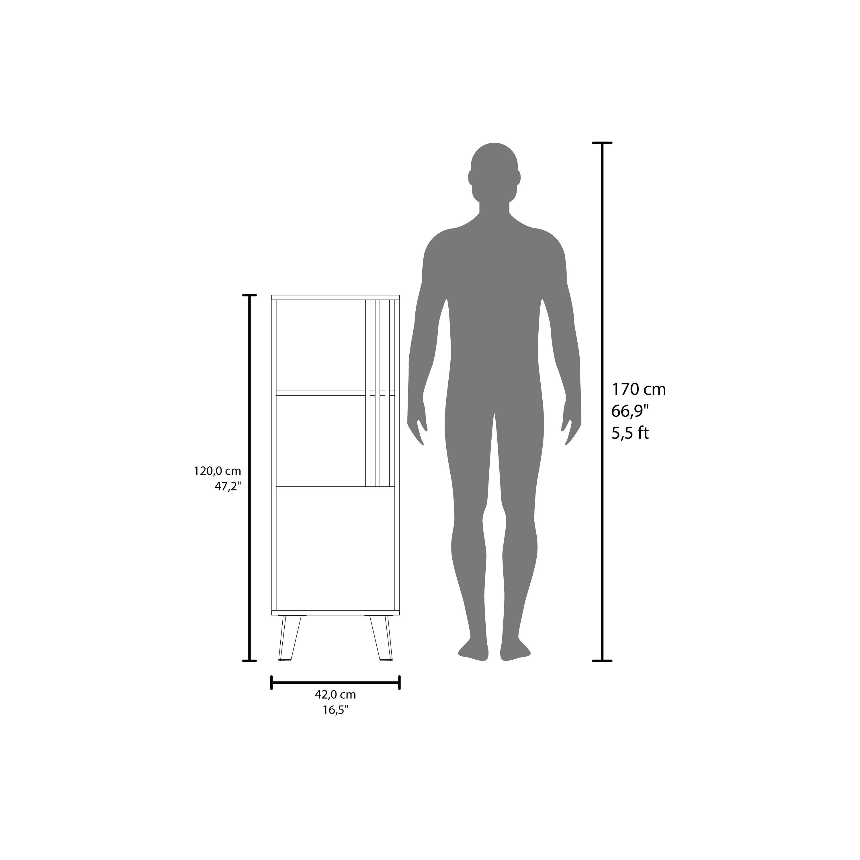 Orrin Storage Cabinet, 1 Door, 2 Shelves, Black / Natural Oak - Luciddepo