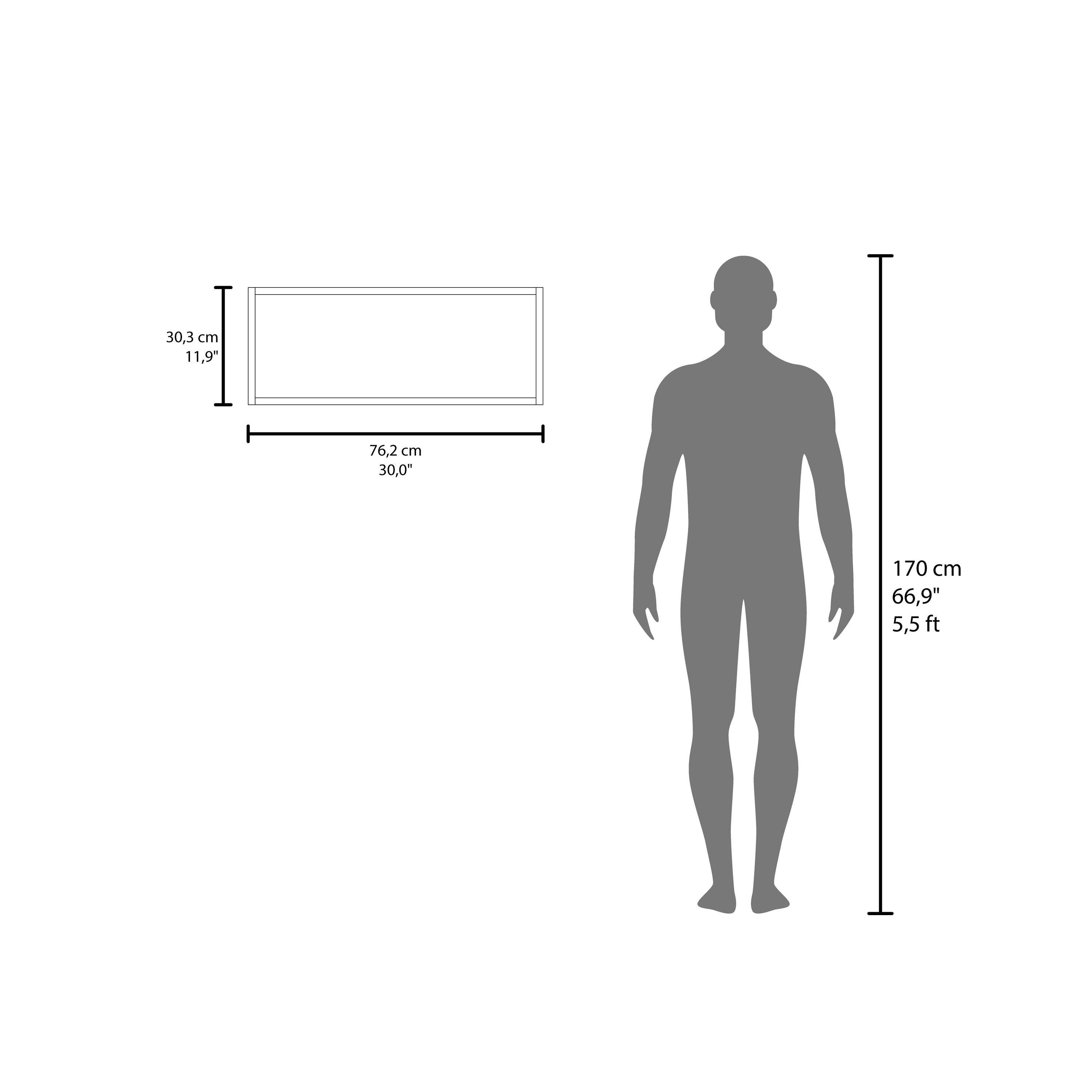 Ayden Wall Cabinet, 1 Spacious Shelf, Black - Luciddepo